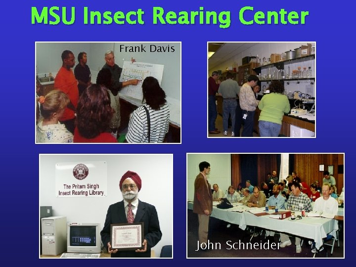 MSU Insect Rearing Center Frank Davis John Schneider 