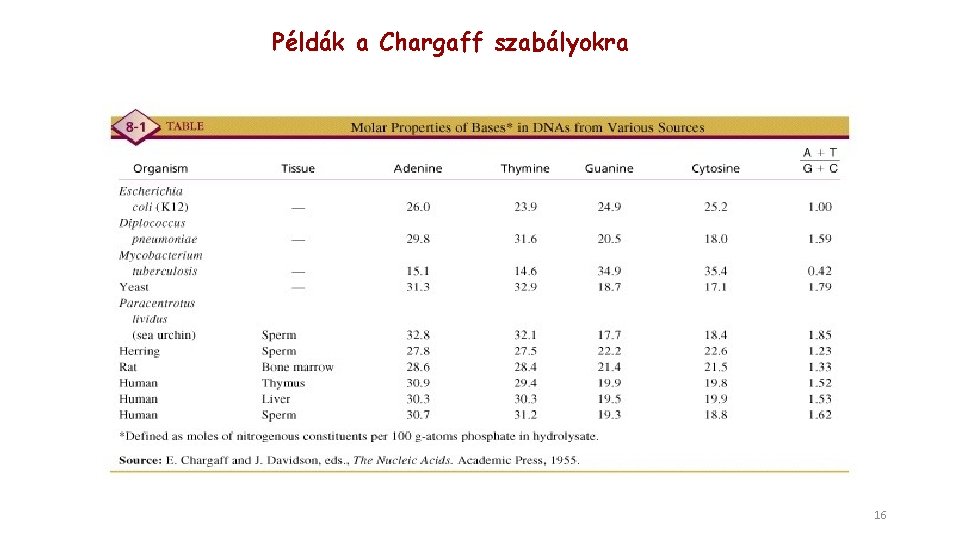 Példák a Chargaff szabályokra 16 