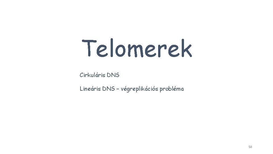 Telomerek Cirkuláris DNS Lineáris DNS – végreplikációs probléma 58 