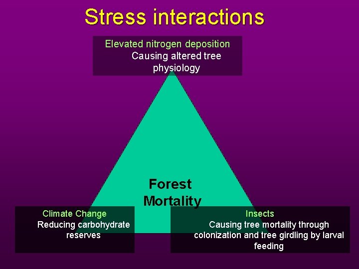 Stress interactions Elevated nitrogen deposition Causing altered tree physiology Forest Mortality Climate Change Reducing