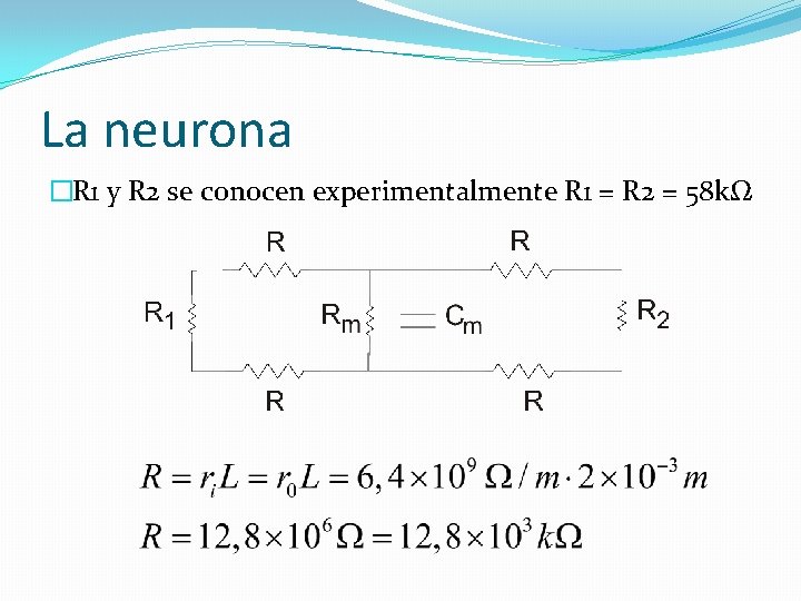 La neurona �R 1 y R 2 se conocen experimentalmente R 1 = R