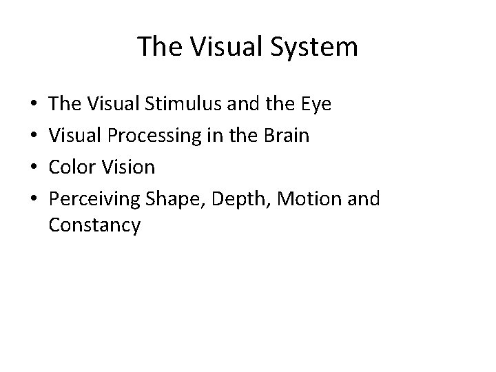 The Visual System • • The Visual Stimulus and the Eye Visual Processing in