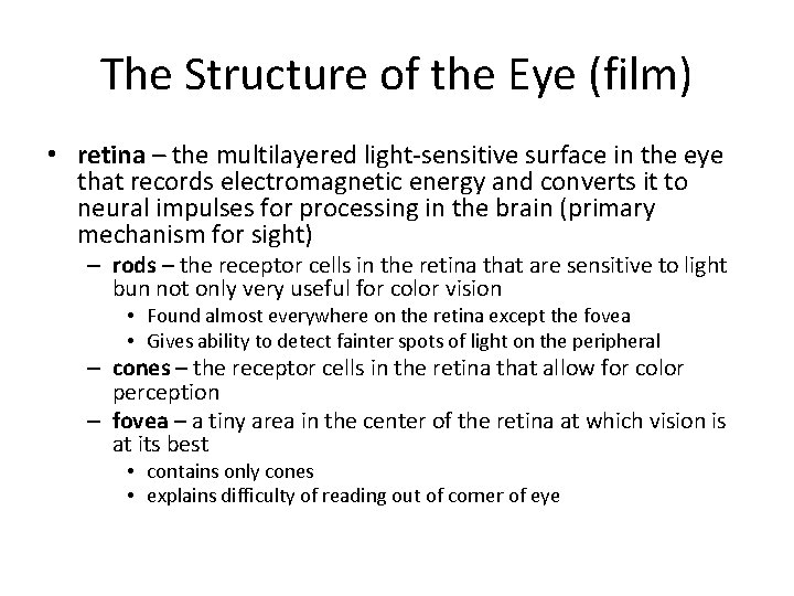 The Structure of the Eye (film) • retina – the multilayered light-sensitive surface in