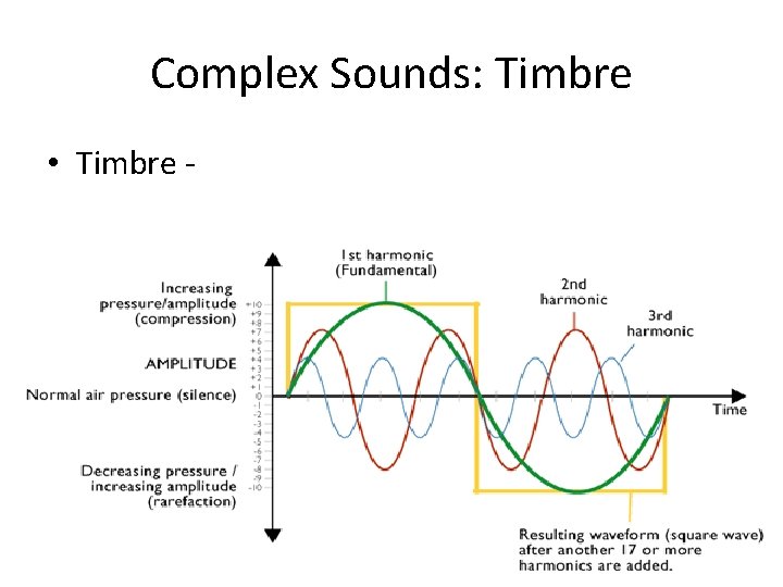 Complex Sounds: Timbre • Timbre - 