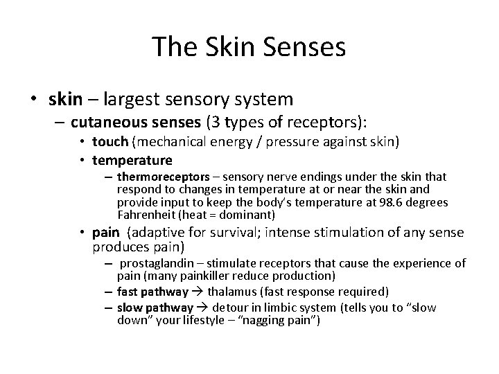 The Skin Senses • skin – largest sensory system – cutaneous senses (3 types