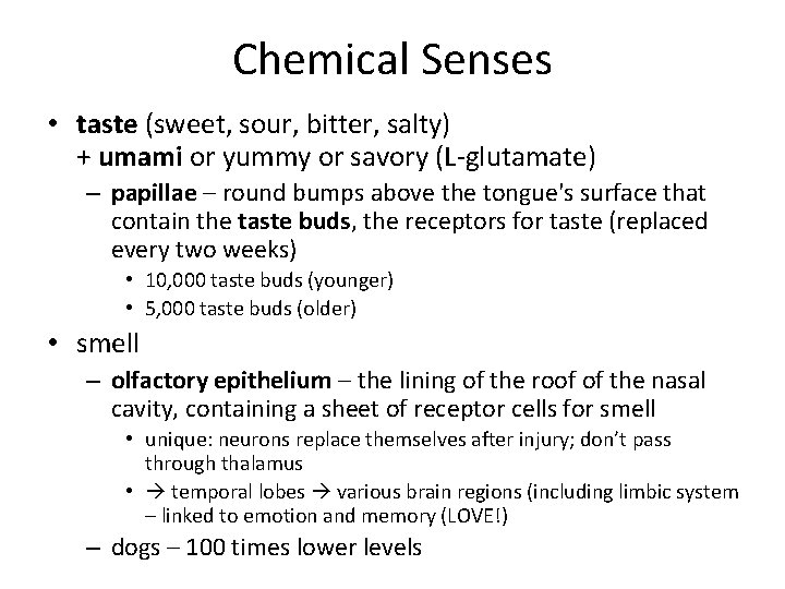 Chemical Senses • taste (sweet, sour, bitter, salty) + umami or yummy or savory