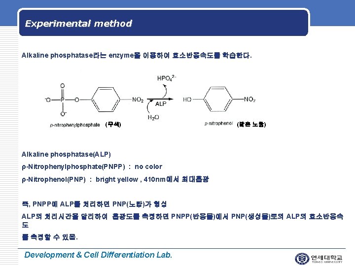 LOGO Experimental method Alkaline phosphatase라는 enzyme을 이용하여 효소반응속도를 학습한다. (무색) (밝은 노랑) Alkaline phosphatase(ALP)