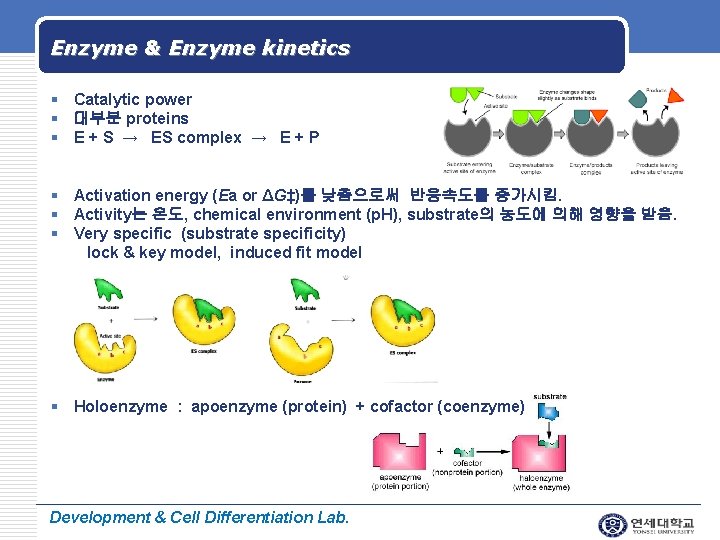 Enzyme & Enzyme kinetics LOGO § Catalytic power § 대부분 proteins § E +