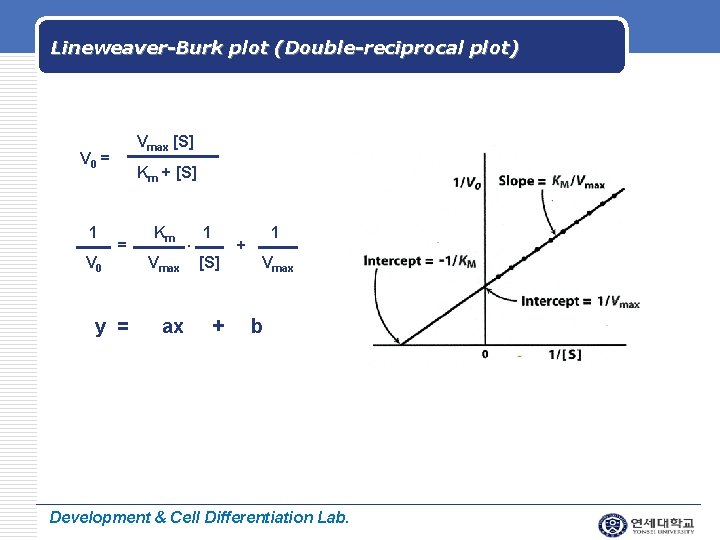 Lineweaver-Burk plot (Double-reciprocal plot) Vmax [S] V 0 = 1 V 0 Km +