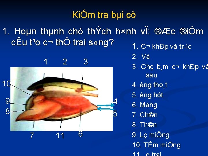 KiÓm tra bµi cò 1. Hoµn thµnh chó thÝch h×nh vÏ: ®Æc ®iÓm cÊu