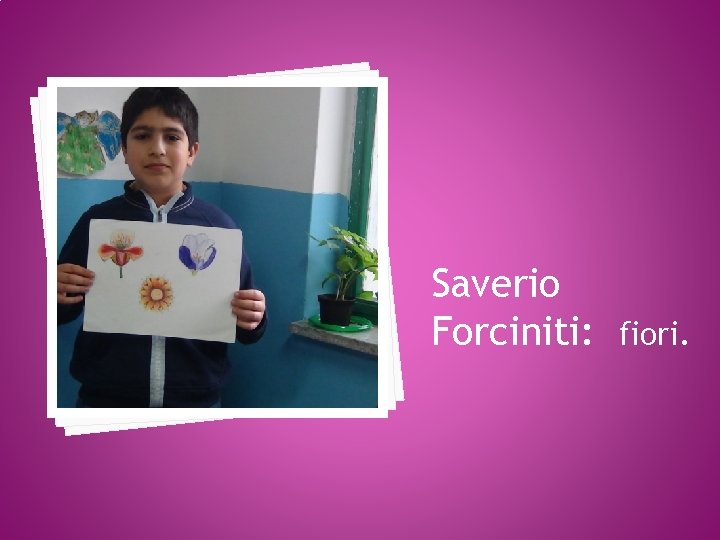 Saverio Forciniti: fiori. 