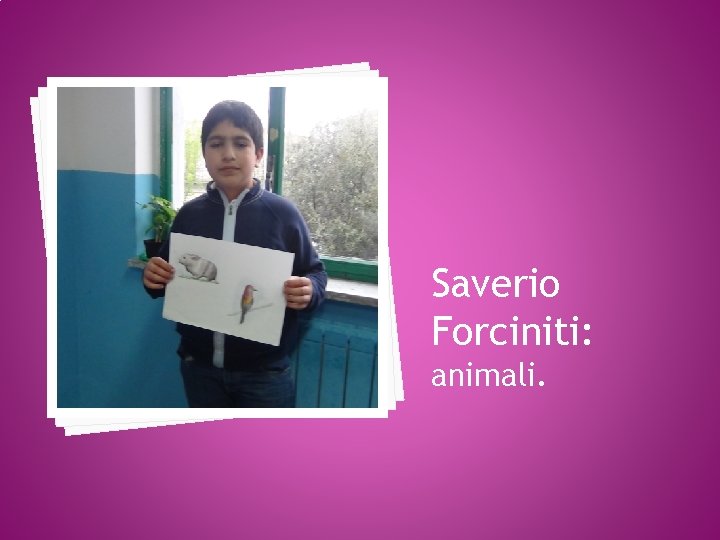 Saverio Forciniti: animali. 