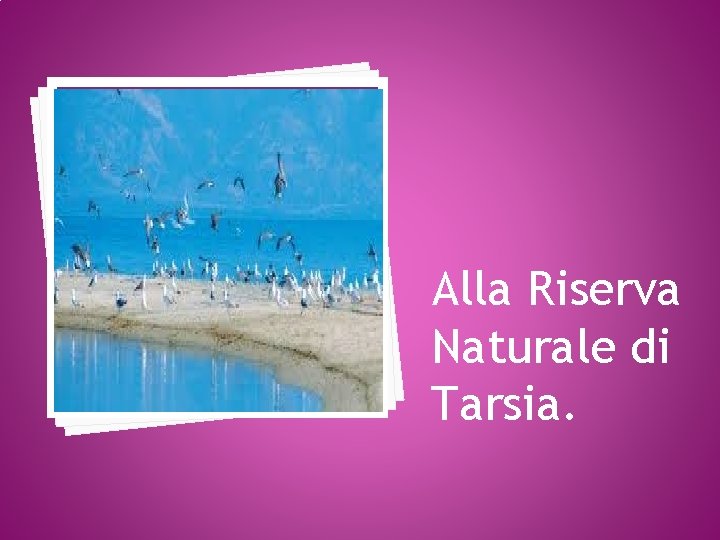 Alla Riserva Naturale di Tarsia. 