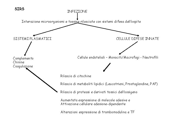 SIRS INFEZIONE Interazione microorganismi e tossine rilasciate con sistemi difesa dell’ospite SISTEMI PLASMATICI Complemento