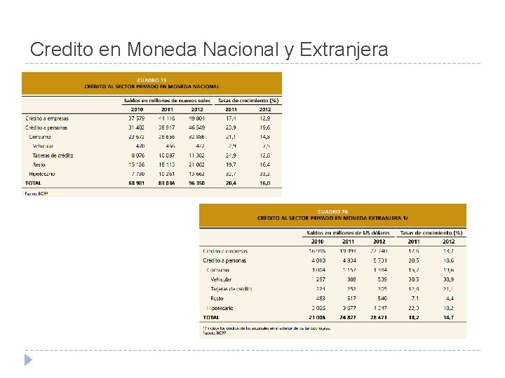 Credito en Moneda Nacional y Extranjera 