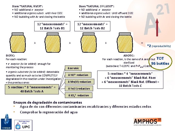 Blank ”NATURAL RIVER”: • NO additional e - aceptor • additional organic substr. until