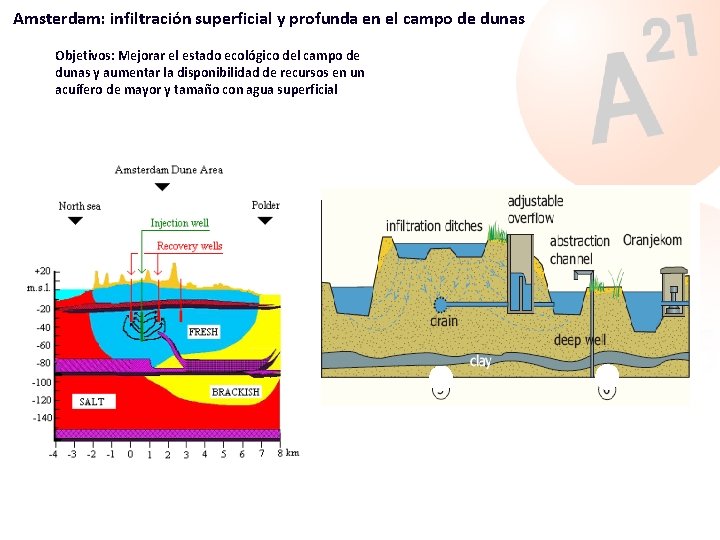 Amsterdam: infiltración superficial y profunda en el campo de dunas Objetivos: Mejorar el estado