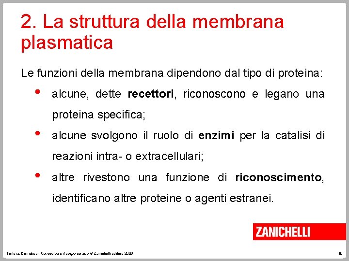 2. La struttura della membrana plasmatica Le funzioni della membrana dipendono dal tipo di