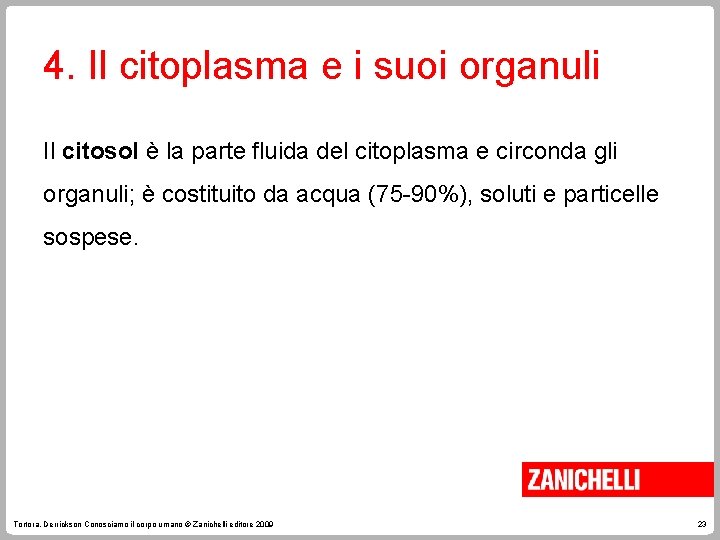 4. Il citoplasma e i suoi organuli Il citosol è la parte fluida del