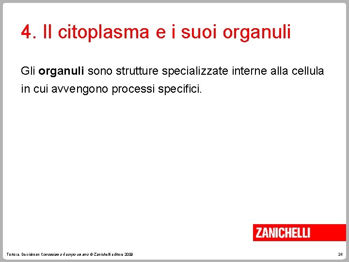 4. Il citoplasma e i suoi organuli Gli organuli sono strutture specializzate interne alla