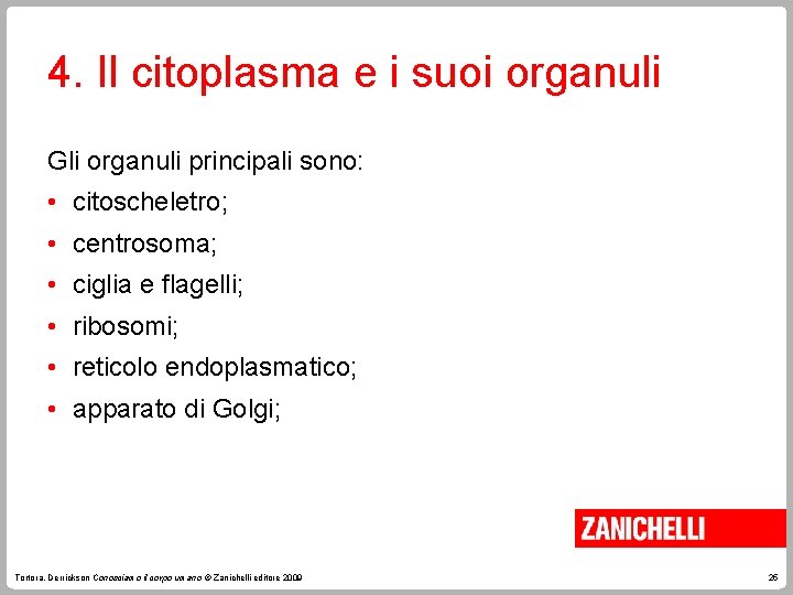 4. Il citoplasma e i suoi organuli Gli organuli principali sono: • citoscheletro; •