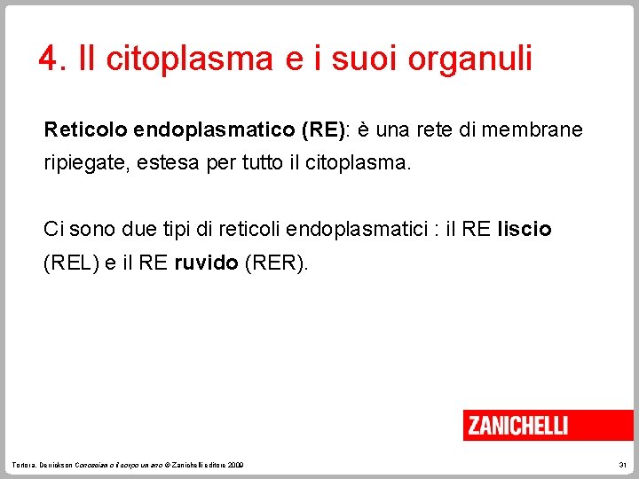 4. Il citoplasma e i suoi organuli Reticolo endoplasmatico (RE): è una rete di