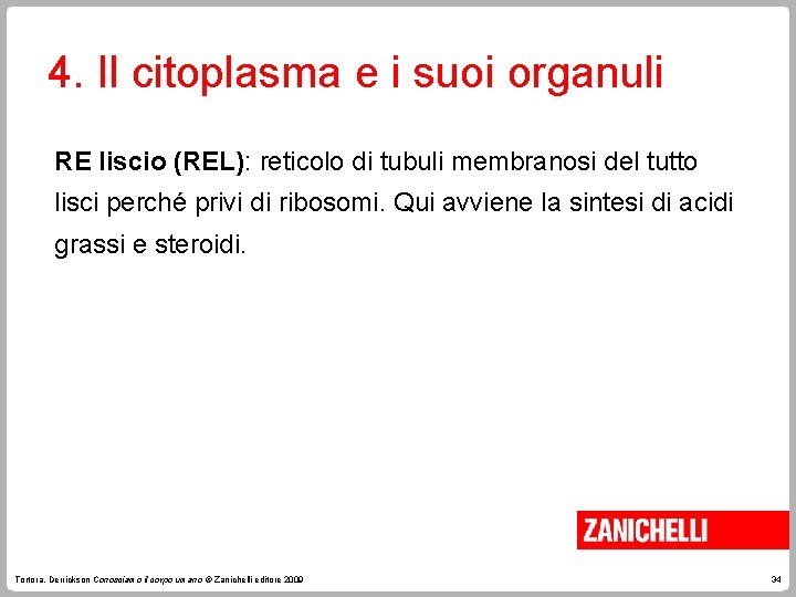 4. Il citoplasma e i suoi organuli RE liscio (REL): reticolo di tubuli membranosi