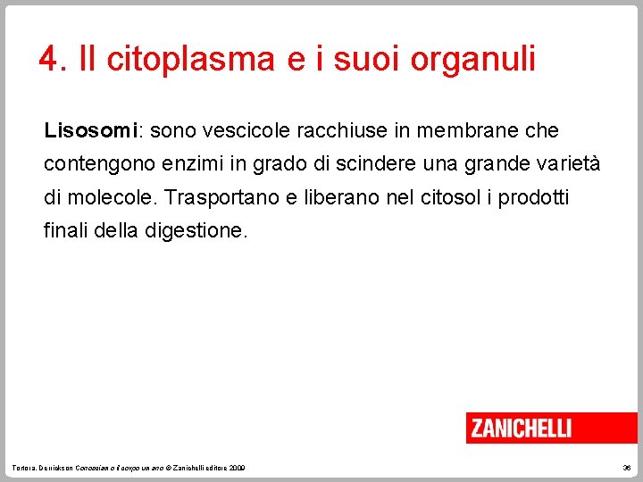 4. Il citoplasma e i suoi organuli Lisosomi: sono vescicole racchiuse in membrane che