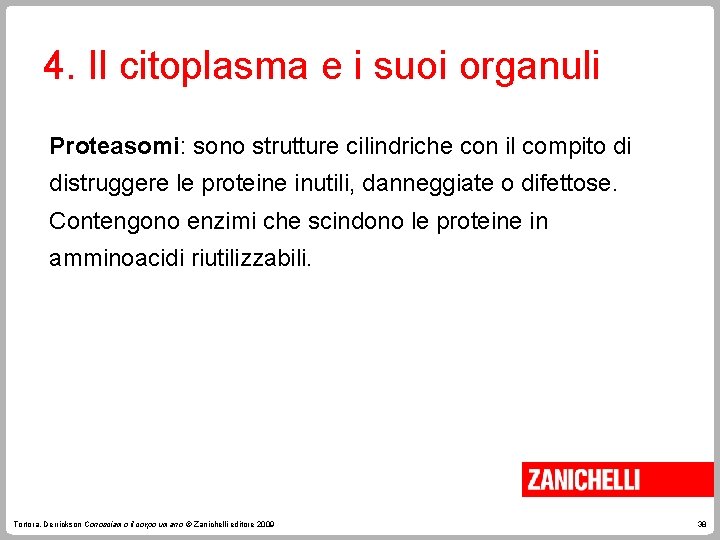 4. Il citoplasma e i suoi organuli Proteasomi: sono strutture cilindriche con il compito