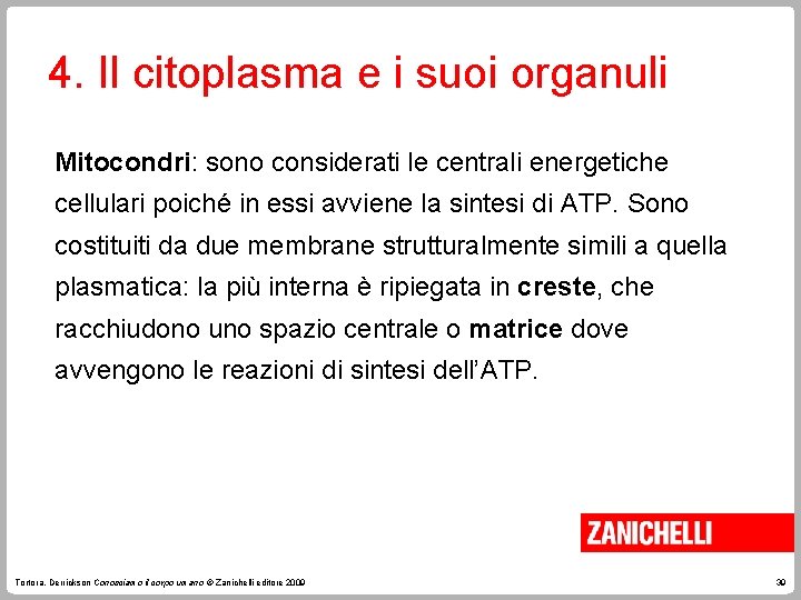 4. Il citoplasma e i suoi organuli Mitocondri: sono considerati le centrali energetiche cellulari