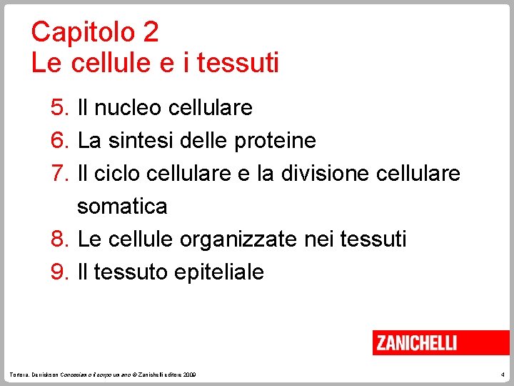 Capitolo 2 Le cellule e i tessuti 5. Il nucleo cellulare 6. La sintesi