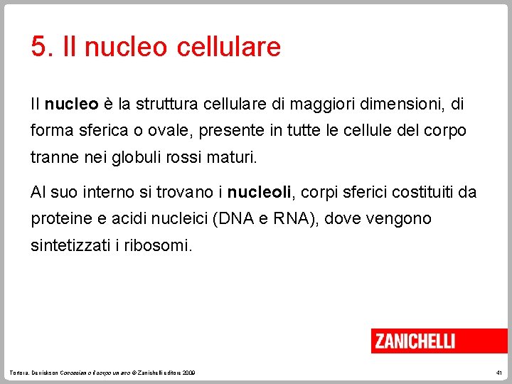 5. Il nucleo cellulare Il nucleo è la struttura cellulare di maggiori dimensioni, di
