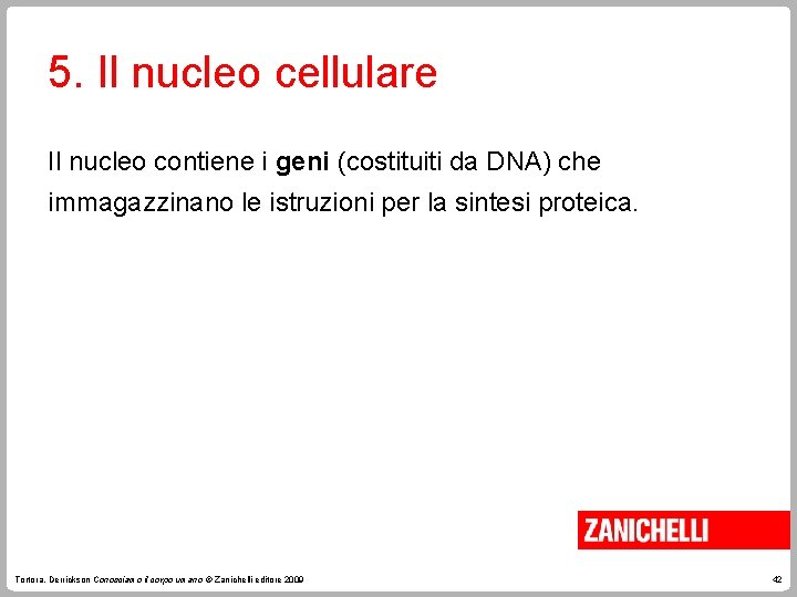 5. Il nucleo cellulare Il nucleo contiene i geni (costituiti da DNA) che immagazzinano