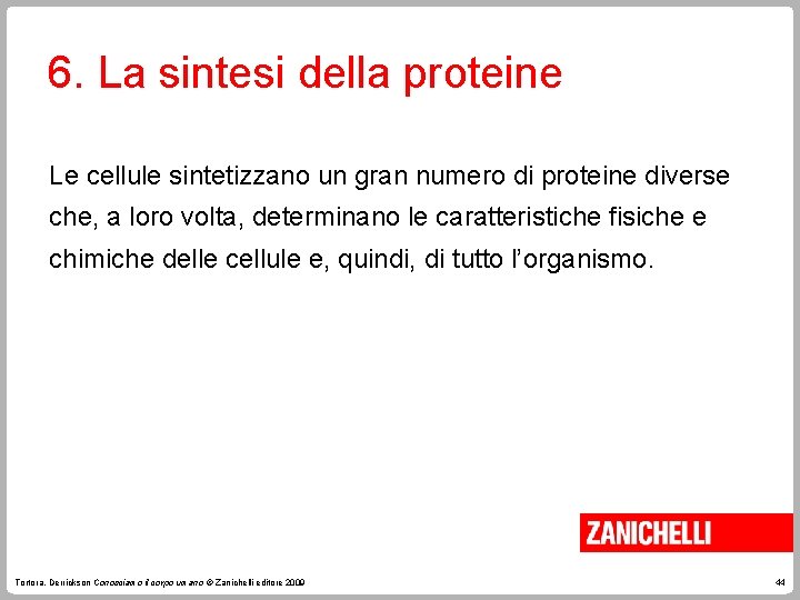 6. La sintesi della proteine Le cellule sintetizzano un gran numero di proteine diverse