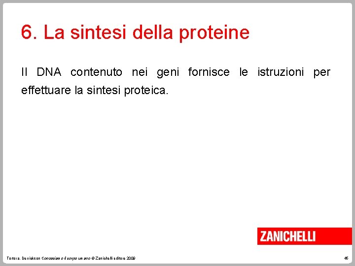 6. La sintesi della proteine Il DNA contenuto nei geni fornisce le istruzioni per