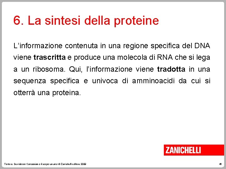 6. La sintesi della proteine L’informazione contenuta in una regione specifica del DNA viene