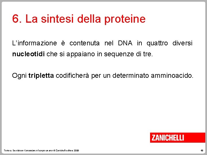 6. La sintesi della proteine L’informazione è contenuta nel DNA in quattro diversi nucleotidi