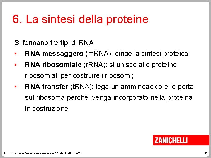 6. La sintesi della proteine Si formano tre tipi di RNA • RNA messaggero