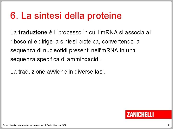 6. La sintesi della proteine La traduzione è il processo in cui l’m. RNA