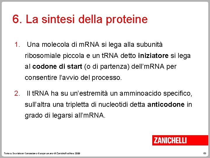 6. La sintesi della proteine 1. Una molecola di m. RNA si lega alla