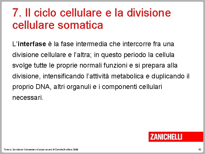 7. Il ciclo cellulare e la divisione cellulare somatica L’interfase è la fase intermedia