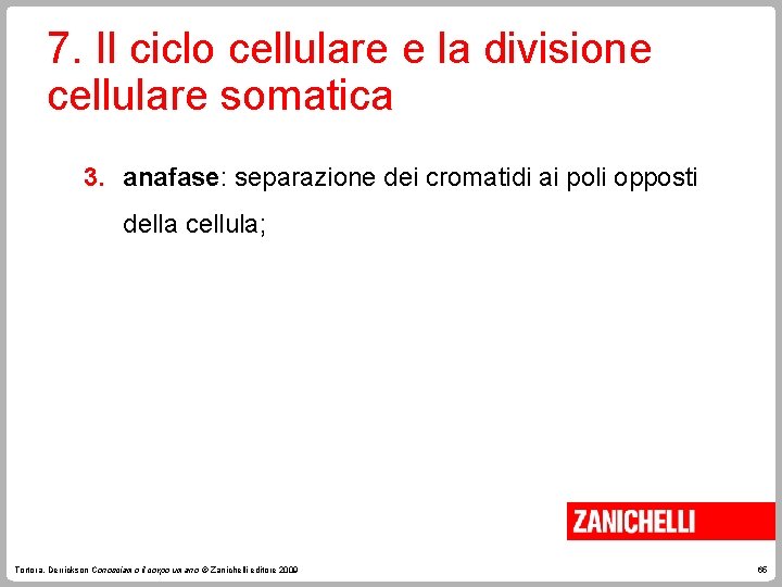 7. Il ciclo cellulare e la divisione cellulare somatica 3. anafase: separazione dei cromatidi