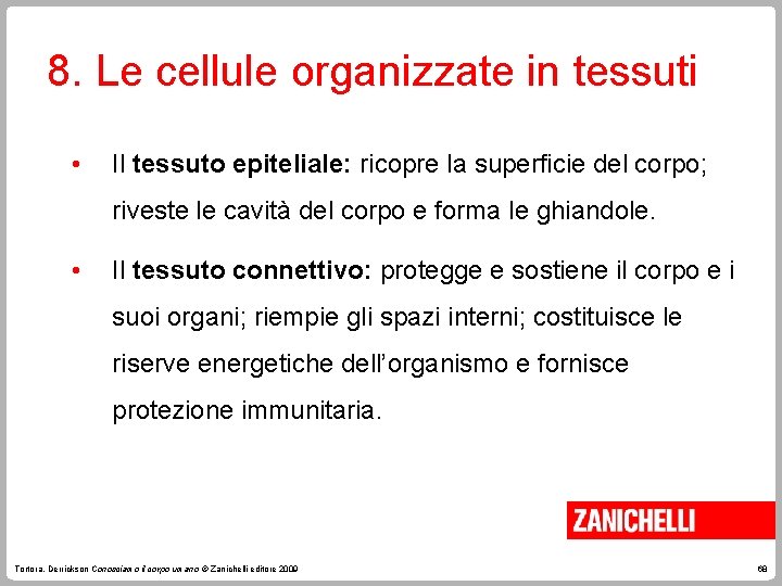 8. Le cellule organizzate in tessuti • Il tessuto epiteliale: ricopre la superficie del