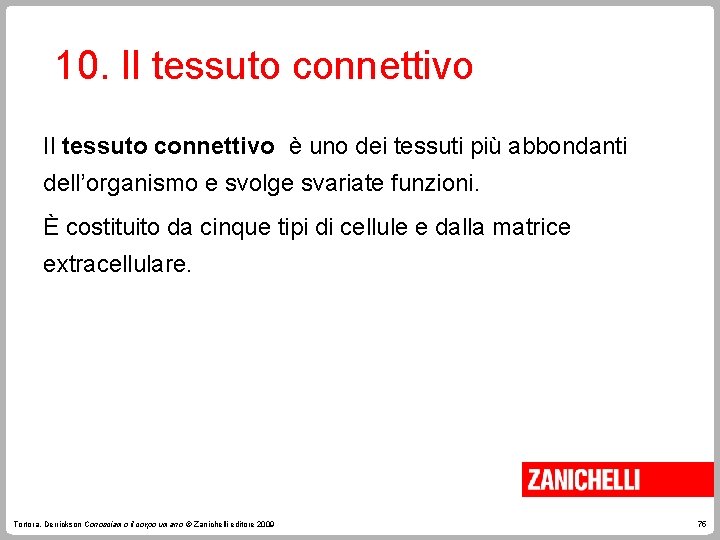 10. Il tessuto connettivo è uno dei tessuti più abbondanti dell’organismo e svolge svariate