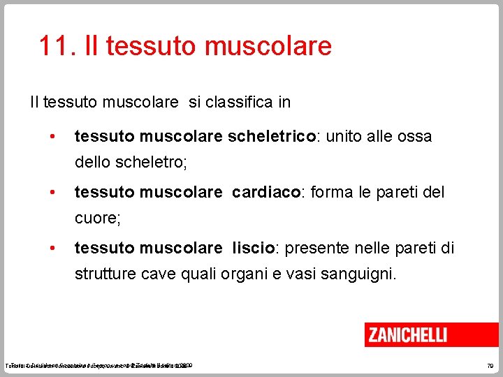 11. Il tessuto muscolare si classifica in • tessuto muscolare scheletrico: unito alle ossa