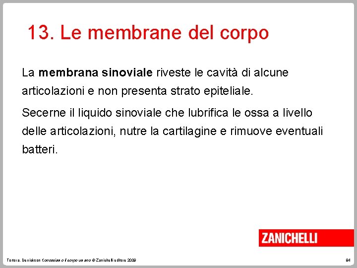 13. Le membrane del corpo La membrana sinoviale riveste le cavità di alcune articolazioni