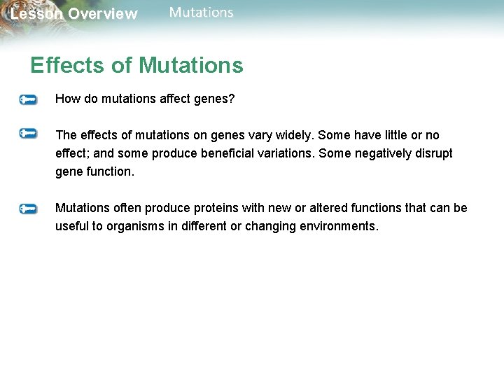 Lesson Overview Mutations Effects of Mutations How do mutations affect genes? The effects of