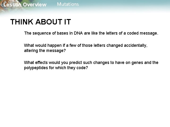 Lesson Overview Mutations THINK ABOUT IT The sequence of bases in DNA are like