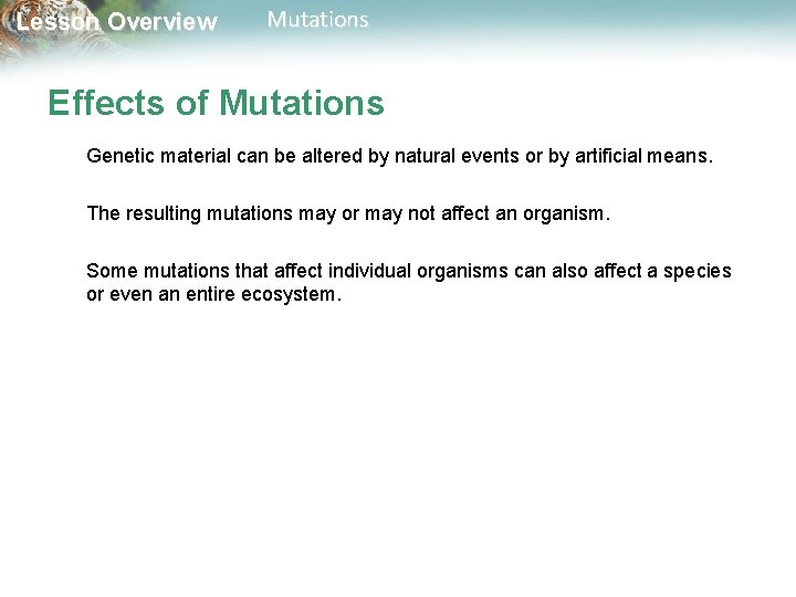 Lesson Overview Mutations Effects of Mutations Genetic material can be altered by natural events