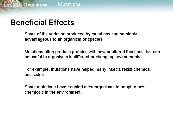 Lesson Overview Mutations Beneficial Effects Some of the variation produced by mutations can be